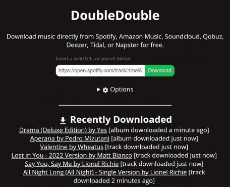 DoubleDouble-免费音乐下载工具 Spotify音乐下载