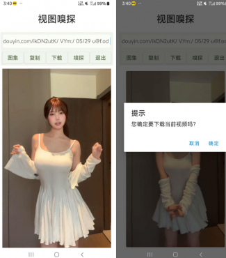 视图嗅探（视频图片去水印下载）
