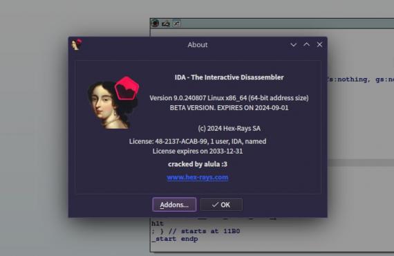 IDA Pro 9.0 Beta附带破解脚本 可尝鲜