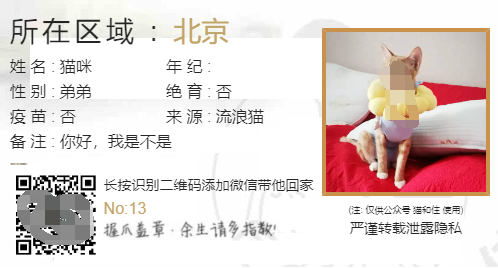 d40c1736481988.png