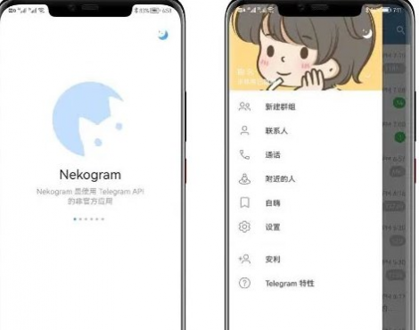 第三方TG电报客户端 Nekogram(猫报) v12.2.3 中文版