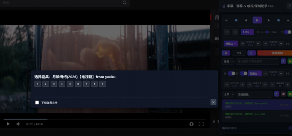 通用字幕搜索挂载、弹幕搜索装填 油猴脚本