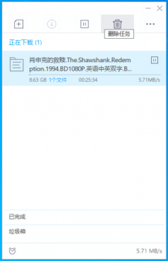 迅雷v9.1.49160极限精简版 只有25M大小 磁力高速下载