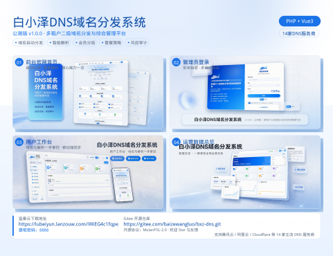白小泽DNS域名分发系统开源可运营